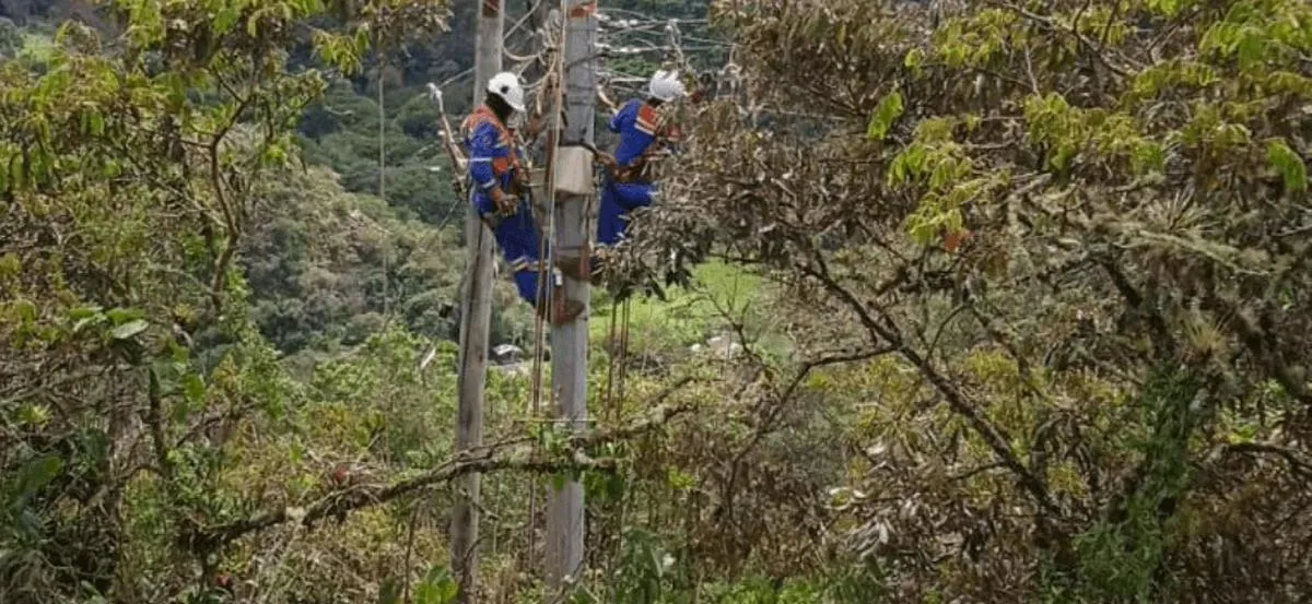 Así funciona el programa que incentiva el uso eficiente de la energía en Bogotá y Cundinamarca para enfrentar fenómeno de El Niño