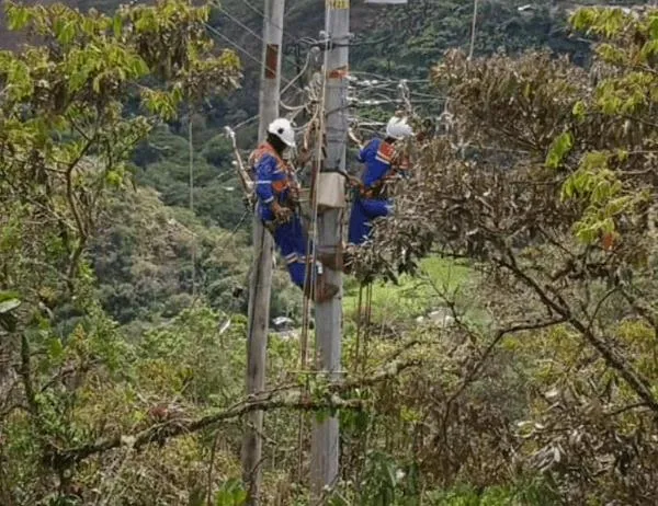Así funciona el programa que incentiva el uso eficiente de la energía en Bogotá y Cundinamarca para enfrentar fenómeno de El Niño 
