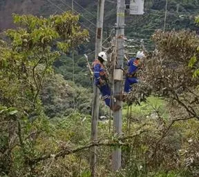 Imagen representativa del artículo