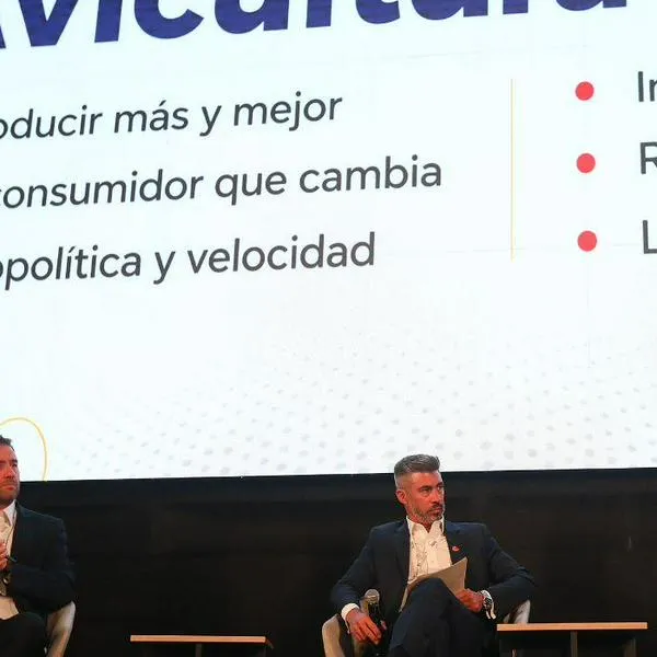 Avicultura mundial apunta a más tecnología, sanidad y apertura de mercados hacia 2030