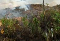 Incendio forestal en el sur de Cali obliga a restringir el paso en la Avenida de los Cerros