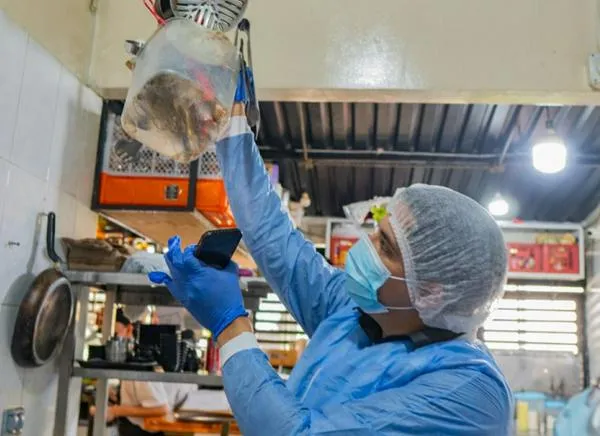 Cucarachas y comida podrida: el hallazgo que cerró un local en Ibagué