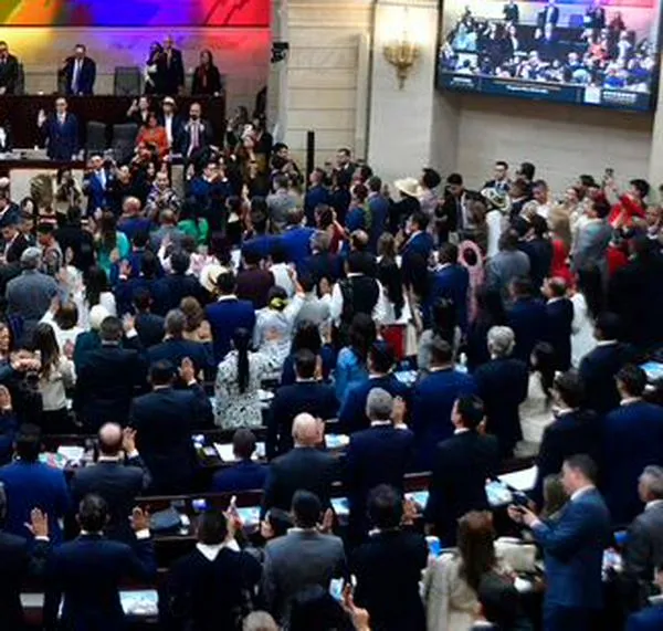 Se terminan de distribuir las fuerzas en el Congreso: ¿qué hace falta?