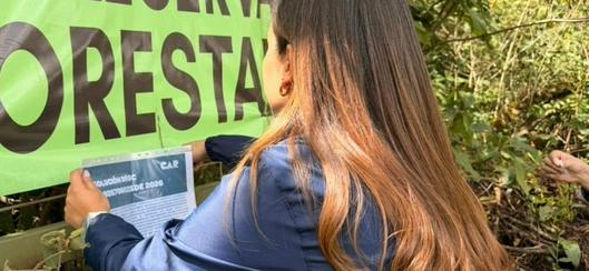 tarjeta noticia