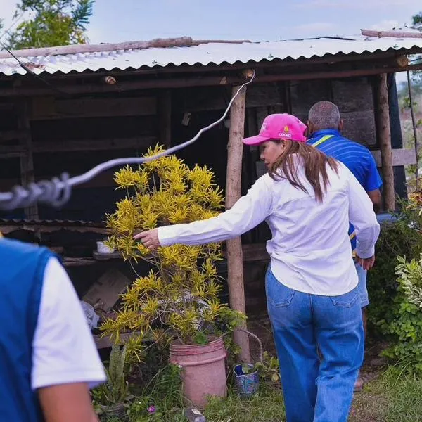 Nueva Flores reporta 16 familias damnificadas mientras aumentan las lluvias en Cesar