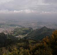Denuncian tala en los Cerros Orientales: dueños alegan acción de buena fe