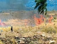 Agosto fue el mes de mayor impacto por incendios forestales en Cundinamarca durante 2026 