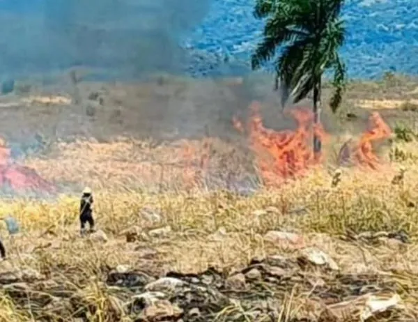 Agosto fue el mes de mayor impacto por incendios forestales en Cundinamarca durante 2026 