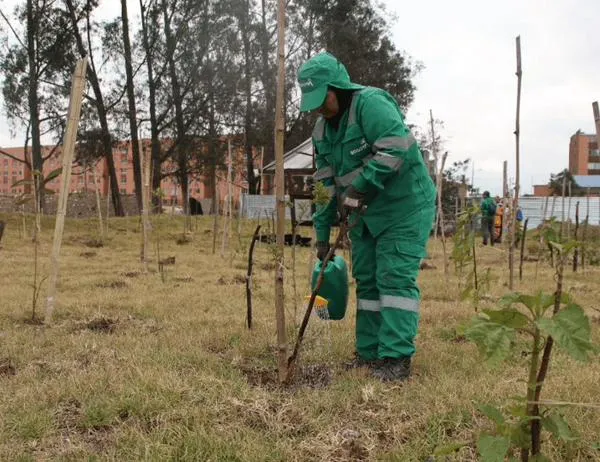 Bogotá prepara sus humedales para enfrentar las sequías durante el fenómeno de El Niño  