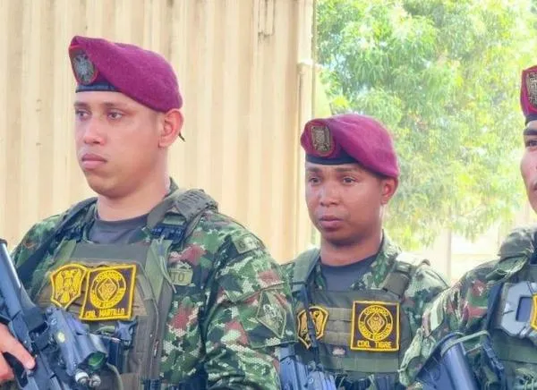 Nueva ofensiva militar busca frenar a grupos armados en Tolima