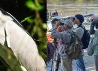 Corfi fortalece el aviturismo y la conservación en Ambalema