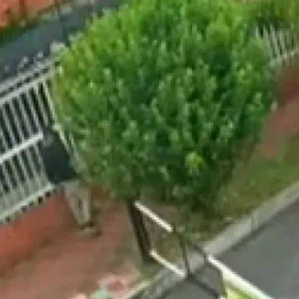 Conoce los detalles del brutal ataque a un vigilante de 63 años en el barrio Modelia de Bogotá, su estado de salud y el pronunciamiento de las autoridades.