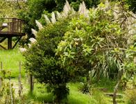 Celebra el Día Interamericano de la Calidad del Aire este miércoles 9 de septiembre junto al Jardín Botánico de Bogotá 