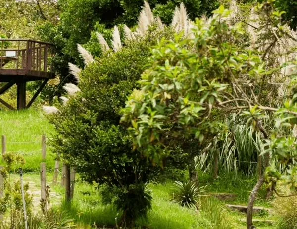 Celebra el Día Interamericano de la Calidad del Aire este miércoles 9 de septiembre junto al Jardín Botánico de Bogotá 