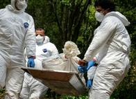 Ataque armado en finca del Tolima dejó un muerto y una mujer herida