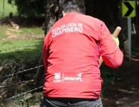 EcoFest llega a Chapinero este 11 de septiembre para promover el cuidado ambiental ¡Agéndate! 