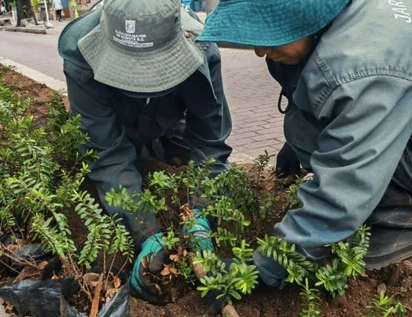 Jardín Botánico de Bogotá recuperó 50 metros cuadrados de jardines en Chapinero 