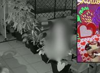 Heladería en Ibagué fue víctima de un segundo robo