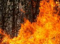 Denuncian vínculo entre incendios y solicitudes mineras en Tolima