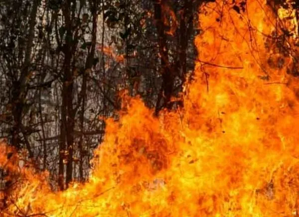 Denuncian vínculo entre incendios y solicitudes mineras en Tolima