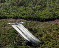 Plan piloto para fumigación aérea de coca iniciará en Putumayo con dos avionetas