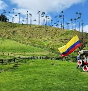 imagen nota