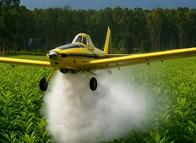Suspenden plan del Gobierno para fumigar con glifosato: esto sucedió
