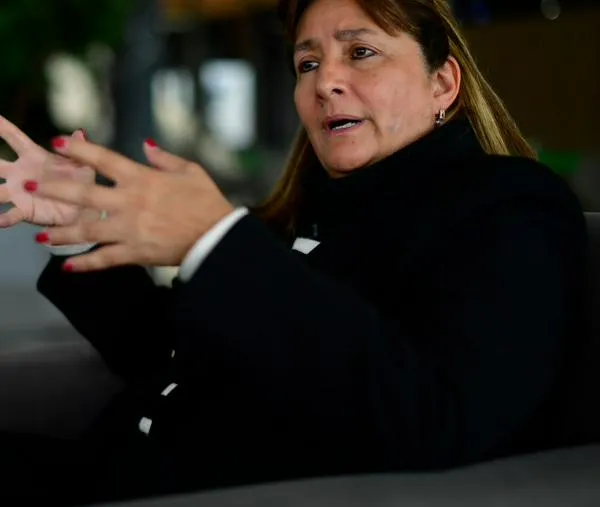 Exfiscal y caso Plazas Vega: “El Estado no puede intervenir en un proceso de particulares”