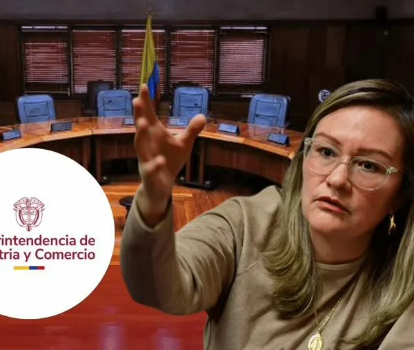 Corte Constitucional limita facultades de la SIC: antecedente de gestión de Cielo Rusinque