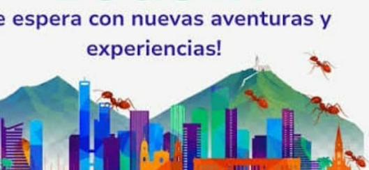tarjeta noticia