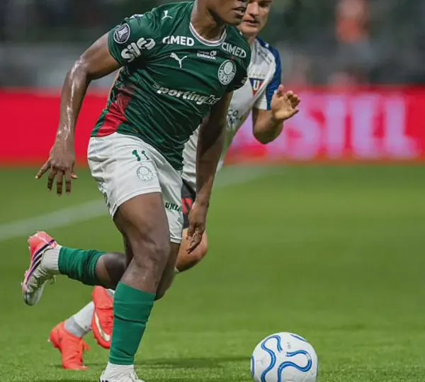 Semana decisiva en la Copa Libertadores, se definen a los semifinalistas: acá el panorama