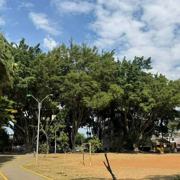 Así funcionará el nuevo cambio vial en Cuarto de Legua