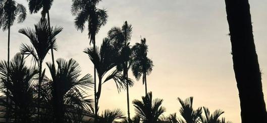 Clima en Cali hoy lunes: ¿cuál es el pronóstico para esta jornada?