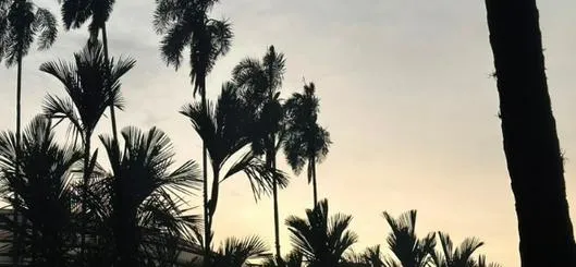 Clima en Cali hoy lunes: ¿cuál es el pronóstico para esta jornada?