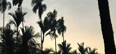 Clima en Cali hoy lunes: ¿cuál es el pronóstico para esta jornada?