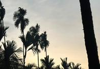 Clima en Cali hoy lunes: ¿cuál es el pronóstico para esta jornada?