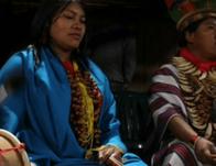 Conoce los saberes ancestrales de los jaguares del Yuruparí en BibloRed Bogotá 