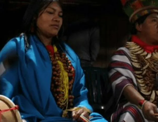 Conoce los saberes ancestrales de los jaguares del Yuruparí en BibloRed Bogotá 