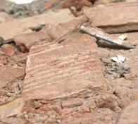 Pagos de aseguradoras por terremoto alcanzan $184.770 millones