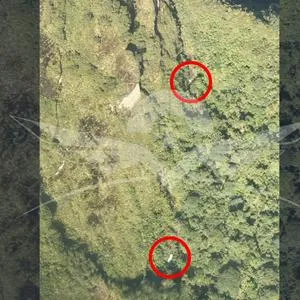 imagen nota inferior