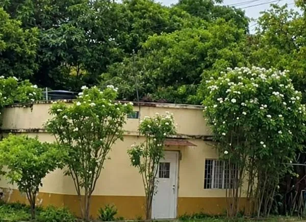Depravado ingresó a una casa e intentó acceder a una mujer en Ibagué