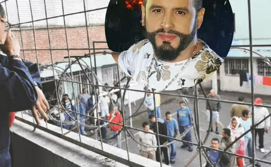 tarjeta noticia
