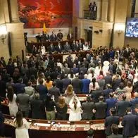 Proyecto en Congreso para prohibir tratamientos de afirmación de género