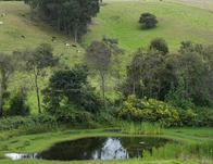 El ‘plan B’ contra la sequía y asegurar reserva hídrica en Bogotá y Cundinamarca 