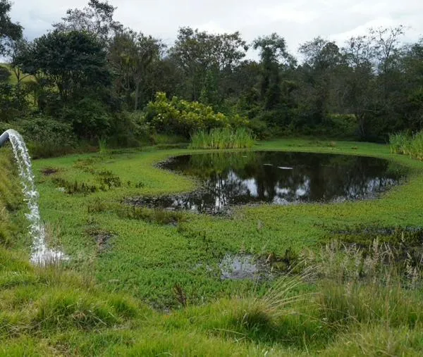 CAR inició plan de protección de agua subterránea para asegurar el abastecimiento a futuro