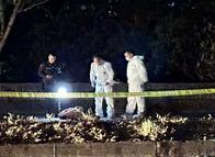 Se conoce la identidad del adulto mayor que murió atropellado en Ibagué