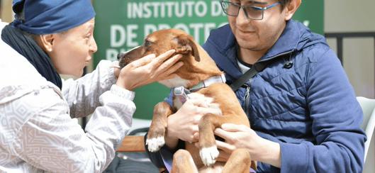 tarjeta noticia