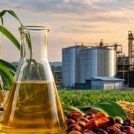 Biocombustibles anuncian inversiones por US$110,2 millones para ampliar capacidad productiva en Colombia