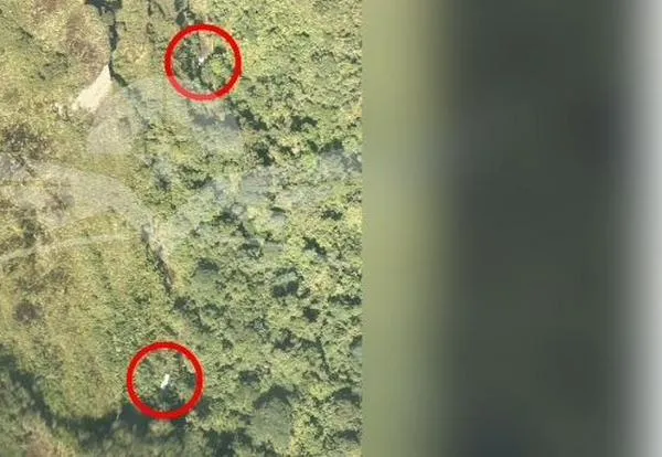 Hallan sin vida a los ocupantes de avioneta que se accidentó en Chocó