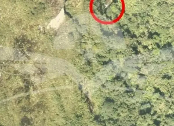 ¡Tragedia! Hallan sin vida a cinco personas tras caída de avioneta